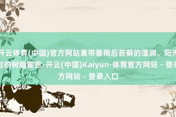 开云体育(中国)官方网站裹带着雨后苔藓的湿润、阳光烘烤过的树脂暖意-开云(中国)Kaiyun·体育官方网站 - 登录入口